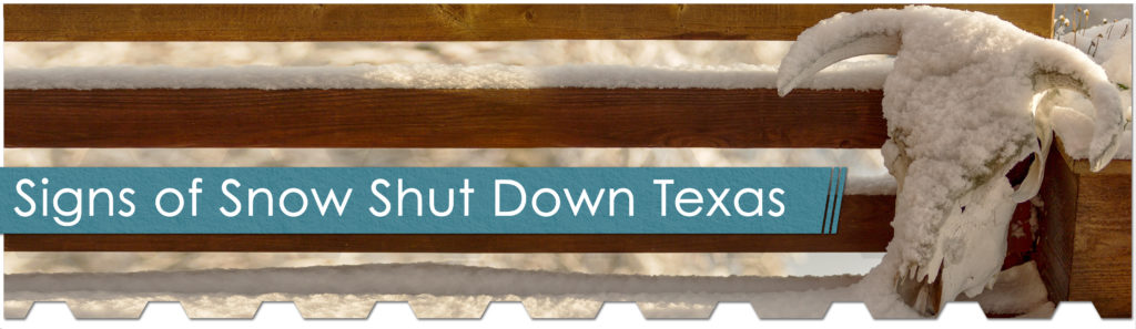 Texas Plants Shut Down Ahead of Freeze 1 signs of snow texas 1 - The Chemical Company